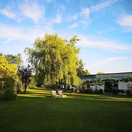 Gite Du Chateau D'Hardelot A Condette Luaran gambar