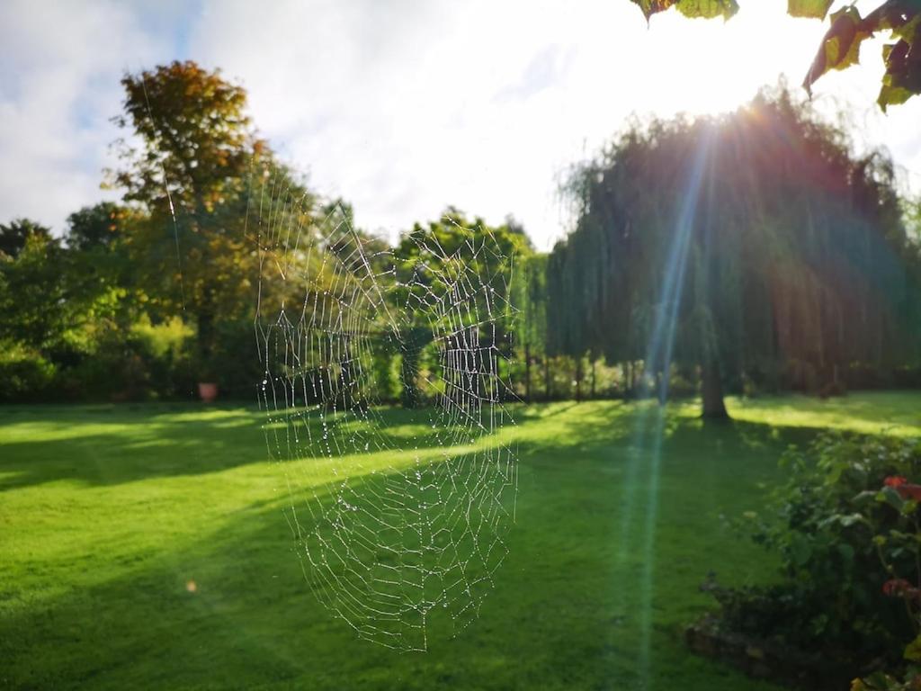 Gite Du Chateau D'Hardelot A Condette Luaran gambar